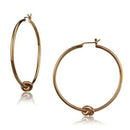 Silver Earrings Hoop Earrings TK2853 Coffee light Stainless Steel Earrings Alamode Fashion Jewelry Outlet