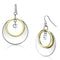 LO2692 Reverse Two-Tone Iron Earrings with CZ