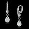 Silver Earrings TS159 Rhodium 925 Sterling Silver Earrings with CZ
