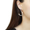 Silver Earrings Statement Earrings DA375 Stainless Steel Earrings with Synthetic Alamode Fashion Jewelry Outlet