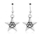 Silver Earrings Sterling Silver Earrings:  Super Star Power Star And Paw Print Dangle French Wire Earrings JadeMoghul Inc.