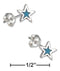 Silver Earrings Sterling Silver Simulated Turquoise Star Earrings Stainless Steel Post/Nuts JadeMoghul Inc.