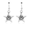 Silver Earrings Sterling Silver Super Star Pawer Star And Paw Print Dangle French Wire Earrings JadeMoghul Inc.