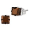 Stud Earrings For Women TK2582 Two Tone Light Brown Stainless Steel Earrings