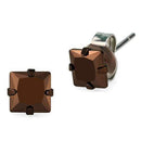 Stud Earrings For Women TK2583 Two Tone Light Brown Stainless Steel Earrings