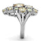 Jewelry Rings 3W600 Rhodium Brass Ring with AAA Grade CZ