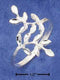 Silver Jewelry Rings Sterling Silver Ring:  Diamond Cut Leaves Ring JadeMoghul Inc.