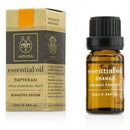 Skin Care Essential Oil - Orange - 10ml