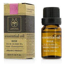 Skin Care Essential Oil - Rose 5% In Jojoba Oil - 10ml