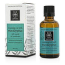 Skin Care Massage Oil With Eucalyptus - 50ml