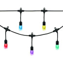 Solar, Motion Detection & Specialty Lights Seasons LED Color Changing Cafe Lights(TM) (48ft; 24 Acrylic Bulbs) Petra Industries