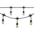 Solar, Motion Detection & Specialty Lights Vintage LED Cafe Lights(TM) (48ft; 24 Acrylic Bulbs) Petra Industries