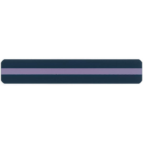 Reading Guide Strips Purple