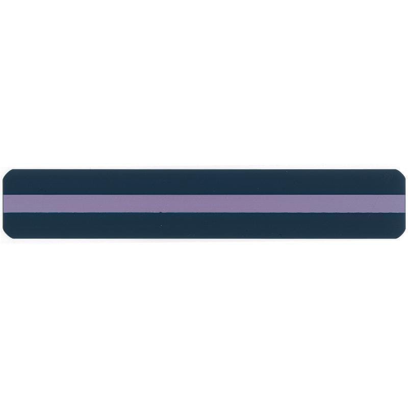 Reading Guide Strips Purple