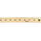 Supplies Ruler Meter Stick W/Metal End CHARLES LEONARD
