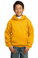 Sweatshirts/Fleece Port & Company Fleece Hoodies For Boys PC90YH1785 Port & Company