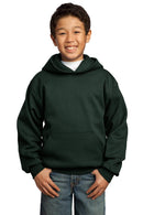 Sweatshirts/Fleece Port & Company Fleece Hoodies For Boys PC90YH2642 Port & Company