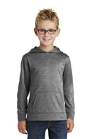 Sweatshirts/Fleece Port & Company Fleece Hoodies For Boys PC90YH6221 Port & Company