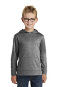 Sweatshirts/Fleece Port & Company Fleece Hoodies For Boys PC90YH6223 Port & Company
