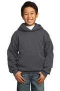 Sweatshirts/Fleece Port & Company Fleece Hoodies For Boys PC90YH8732 Port & Company