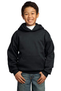 Sweatshirts/Fleece Port & Company Fleece Hoodies For Boys PC90YH8745 Port & Company