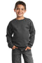 Sweatshirts/Fleece Port & Company - Youth Core Fleece  Crewneck Sweatshirt.  PC90Y Port & Company