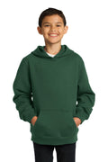 Sweatshirts/Fleece Sport-Tek Pullover Hoodies For Boys YST2546711 Sport-Tek