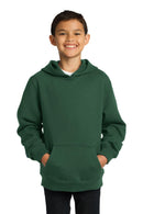 Sweatshirts/Fleece Sport-Tek Pullover Hoodies For Boys YST2546712 Sport-Tek