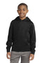 Sweatshirts/Fleece Sport-Tek Sport-Wick Cool Hoodies For Boys YST2448153 Sport-Tek
