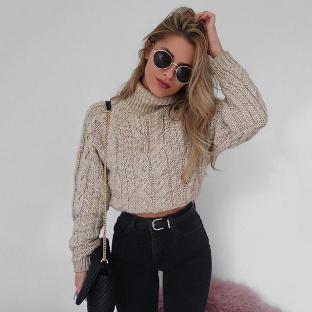 Thick Cable Knit Turtle Neck Crop sweater