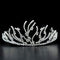 Priness Tiara LO2117 Imitation Rhodium Brass Tiaras & Hair Clip with Crystal