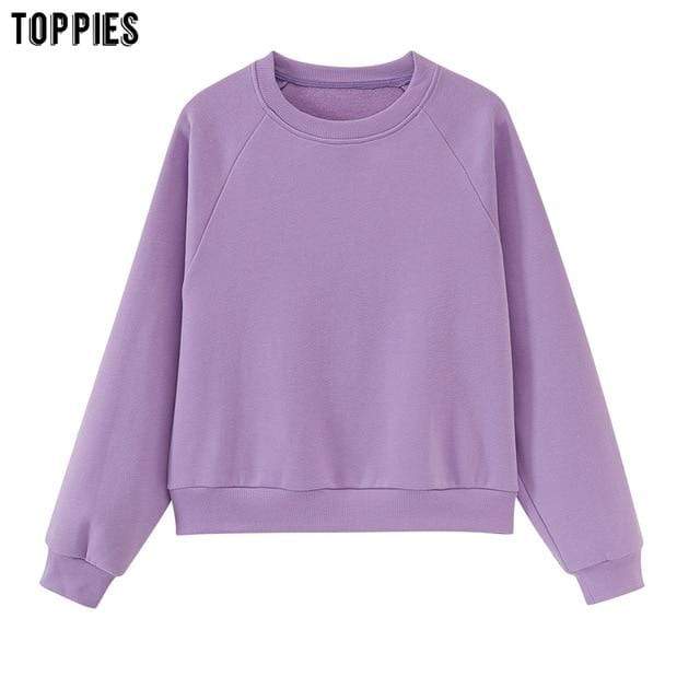 toppies womens tracksuits hooded sweatshirts 2020 autumn winter fleece oversize hoodies solid color jackets JadeMoghul Inc. 