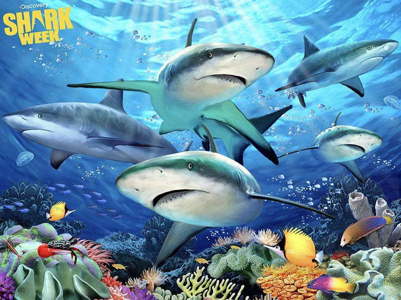 Discovery Channel Shark Week - Shark Reef - 3D Lenticular Puzzle - 100 Pieces