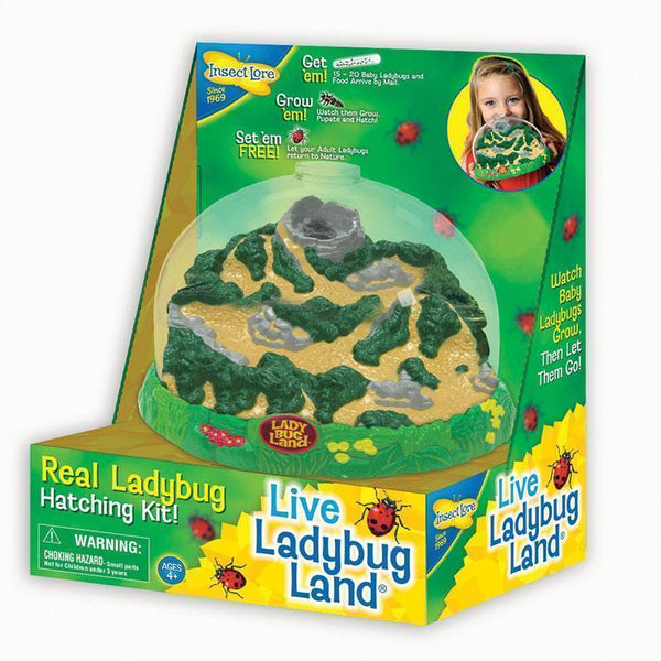 LADYBUG LAND-Toys & Games-JadeMoghul Inc.