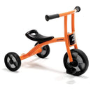 Tricycle Small Age 2 4
