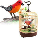 Toys Singing & Chirping Bird In Cage - Realistic Sounds & Movements AZ Toys