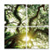 Walls Canvas Wall Art - 24" Canvas 4 Panels Color Photo HomeRoots