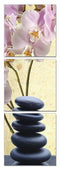 Walls Canvas Wall Art - 24" Multicolor Canvas Vertical 3 Panels Photo HomeRoots