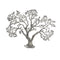 Walls Dining Room Wall Decor - 1" x 27.5" x 22" Rough Silver - Tree Wall Sculpture HomeRoots