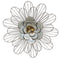 Walls Metal Wall Decor - 18.11" X 1.77" X 18.11" Silver Galvanized Daisy Wall D√©cor HomeRoots