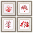 Walls Wall Frame Decor - 21" X 21" Woodtoned Frame Red Coral (Set of 4) HomeRoots