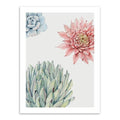 Watercolor Succulent Plants Cactus Flower Poster Print Nordic Style Living Room Big Wall Art Pictures Home Decor Canvas Painting-15x20 cm No Frame-flower three flowers-JadeMoghul Inc.