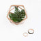 Wedding Ceremony Accessories Small Glass Geometric Terrarium Style Ring Box (Pack of 1) JM Weddings