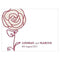 Weddingstar Rose Note Card Plum (Pack of 1) JM Weddings
