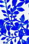 Whimsy Amelia Blue & White Knit Cute Palazzo Pant - Girls-Whimsy-18M/2-White/Blue-JadeMoghul Inc.