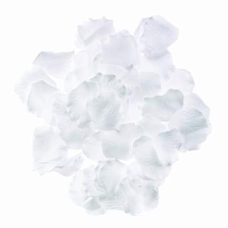 White Silk Petals