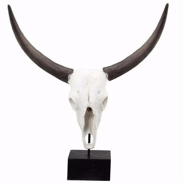 Wild & Beautiful Cow Skull, Resin-Decorative Objects and Figurines-Brown and white-RESIN-JadeMoghul Inc.