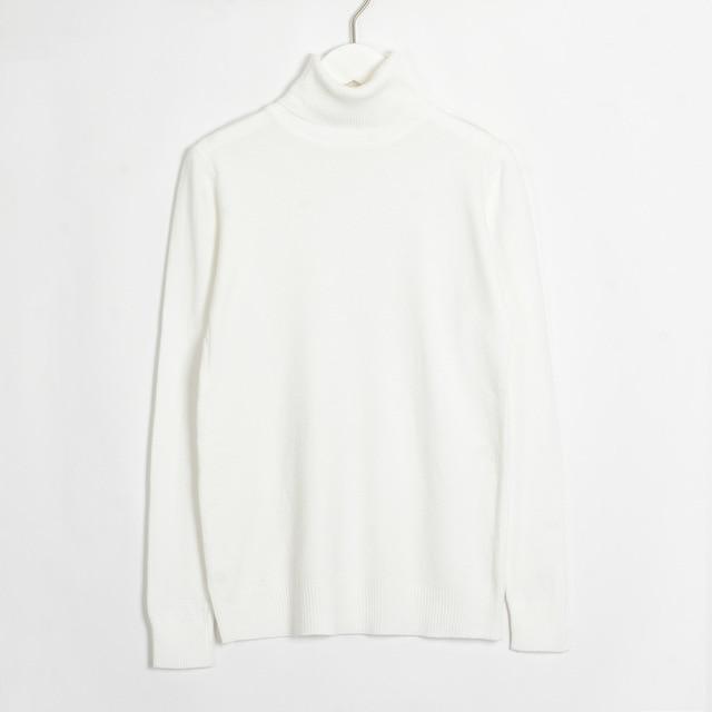 Wixra Knitting Sweater and Jumper Turtleneck Tops Pullovers Casual Sweaters Womens Long Sleeve All-match Elastic Sweater JadeMoghul Inc. 