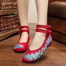Women Embroidered Sequins Flat Shoes With Ankle Strap Closure-4-4-JadeMoghul Inc.