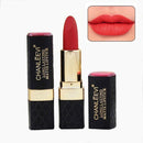 Women Long Lasting Water Proof Matte Hydrating Mineral Lipstick-19-JadeMoghul Inc.